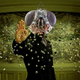 Illustration for article titled Flies See the World in Matrix-Style Slow Motion